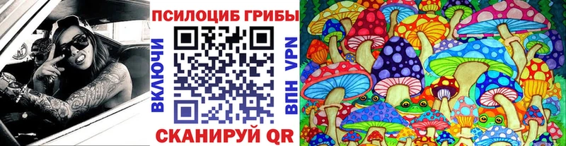 Галлюциногенные грибы Psilocybe  MEGA ссылки  Ачинск 