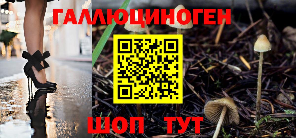 Ачинск  Галлюциногенные грибы Psilocybine cubensis  Вход с VPN 