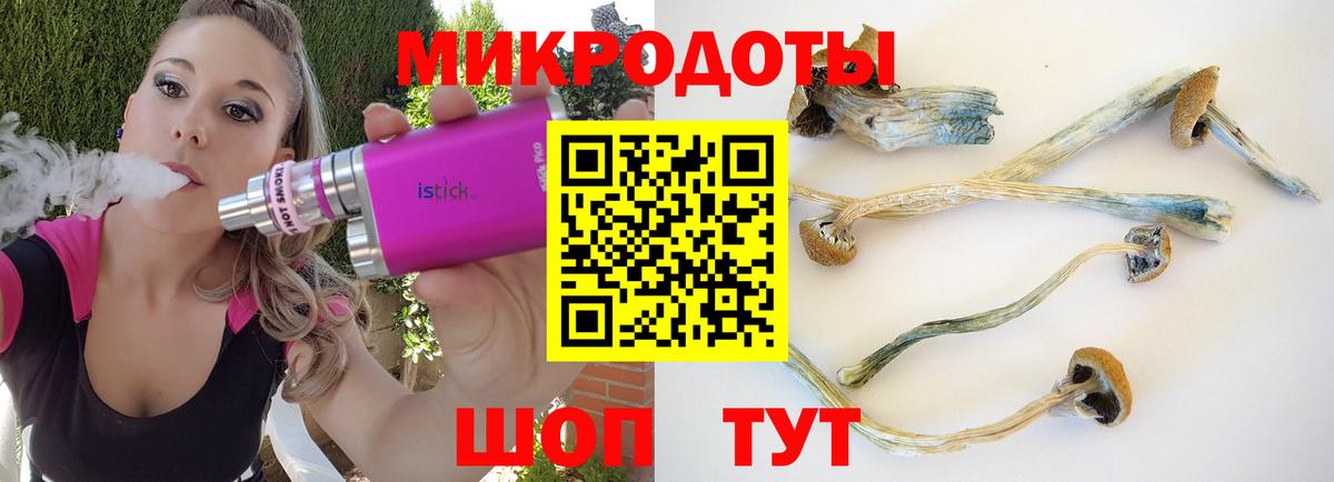 Псилоцибиновые грибы ЛСД Ачинск